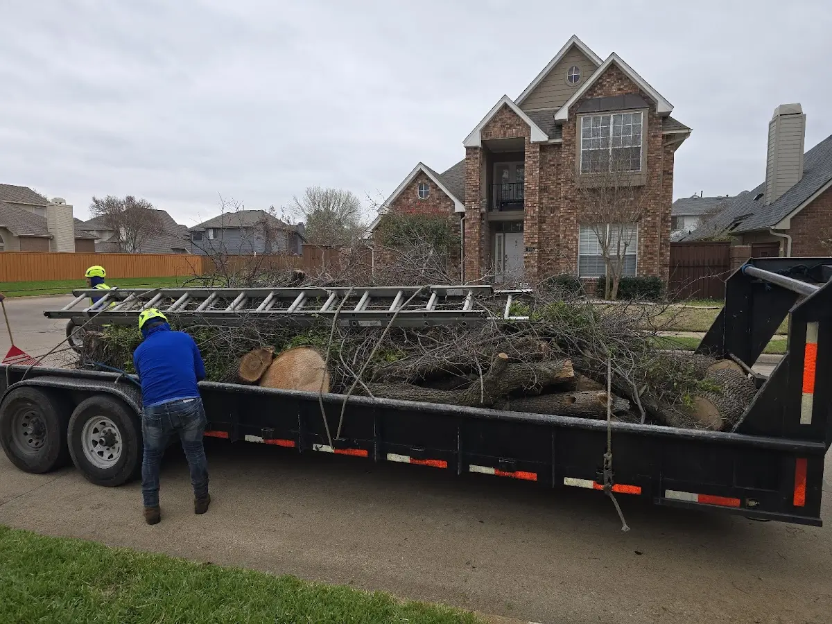 Expert Tree Pest Control with proper safety equipment in Heber Springs